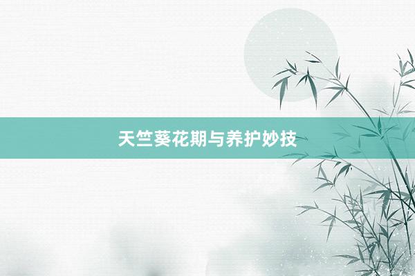 天竺葵花期与养护妙技