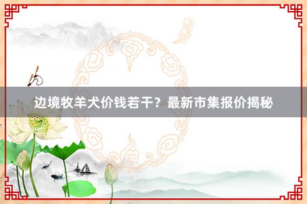 边境牧羊犬价钱若干？最新市集报价揭秘