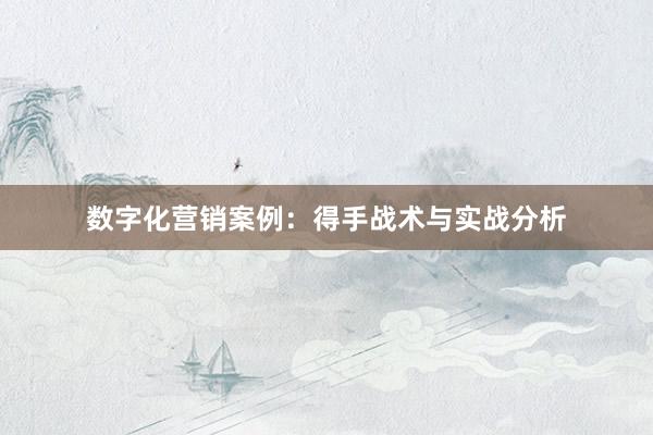 数字化营销案例：得手战术与实战分析